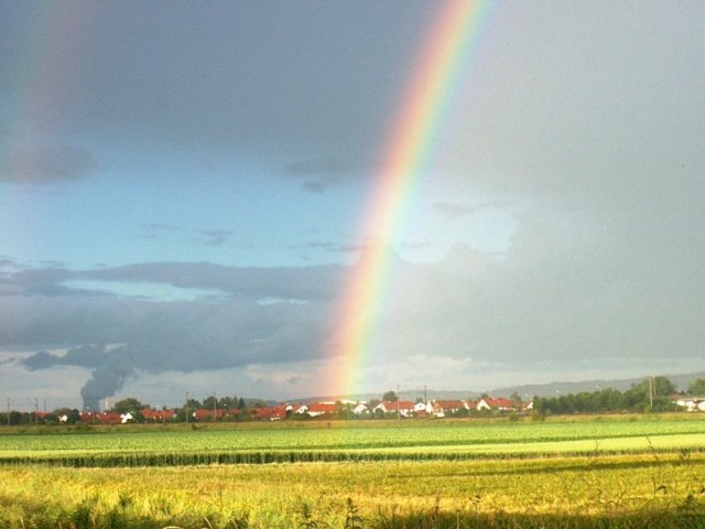 Regenbogen 03